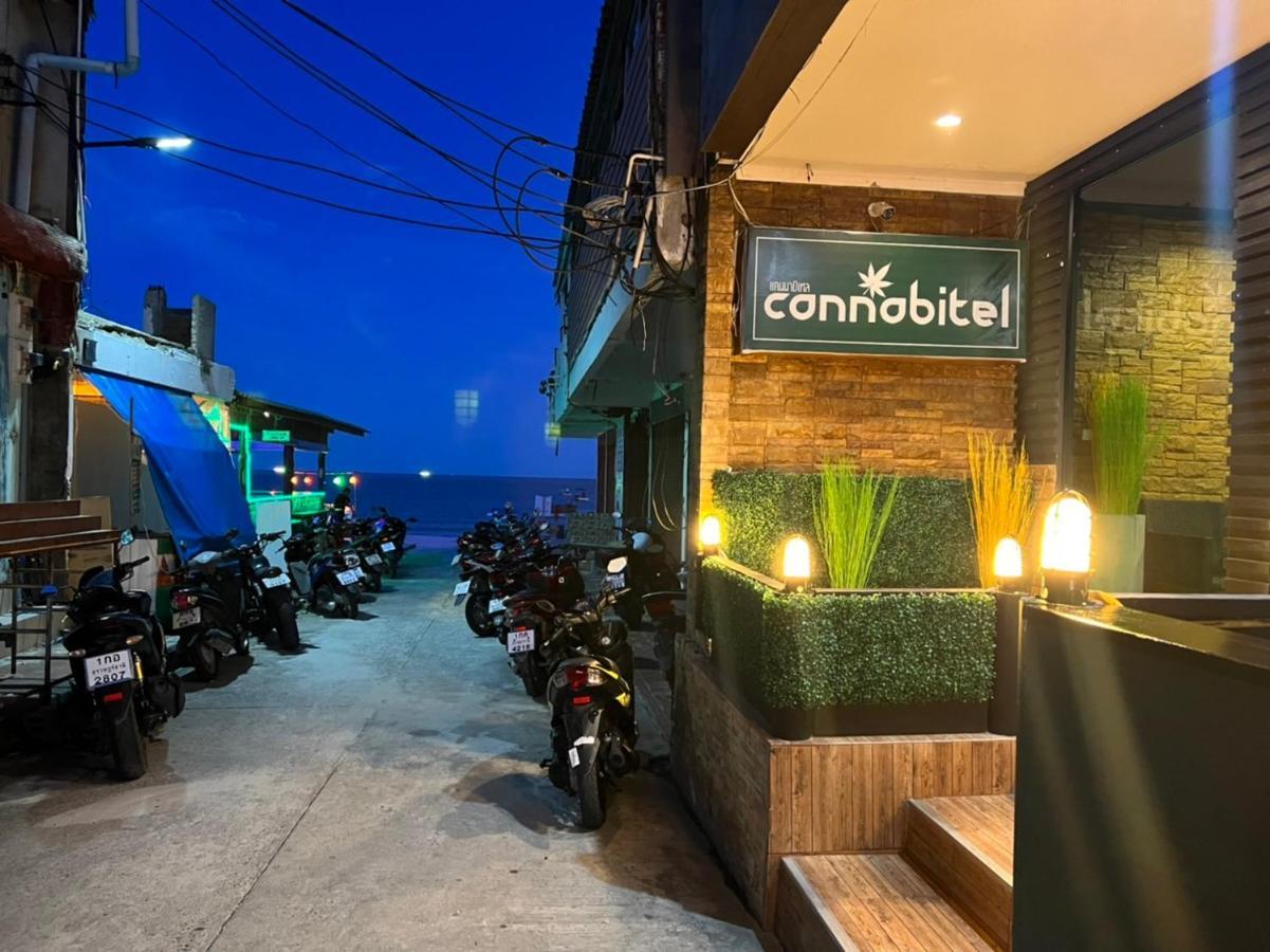 Cannabitel 哈林海滩 外观 照片