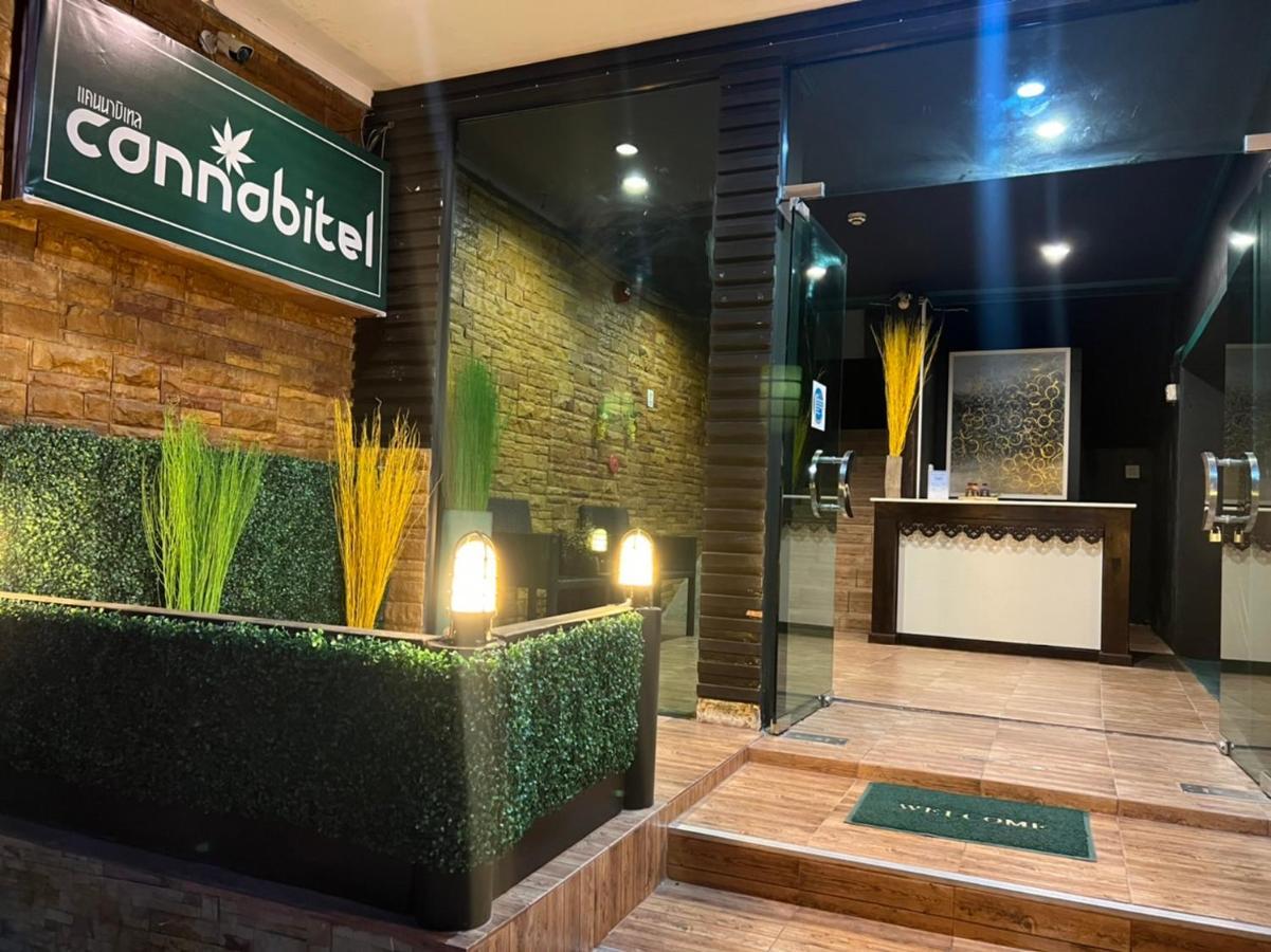 Cannabitel 哈林海滩 外观 照片