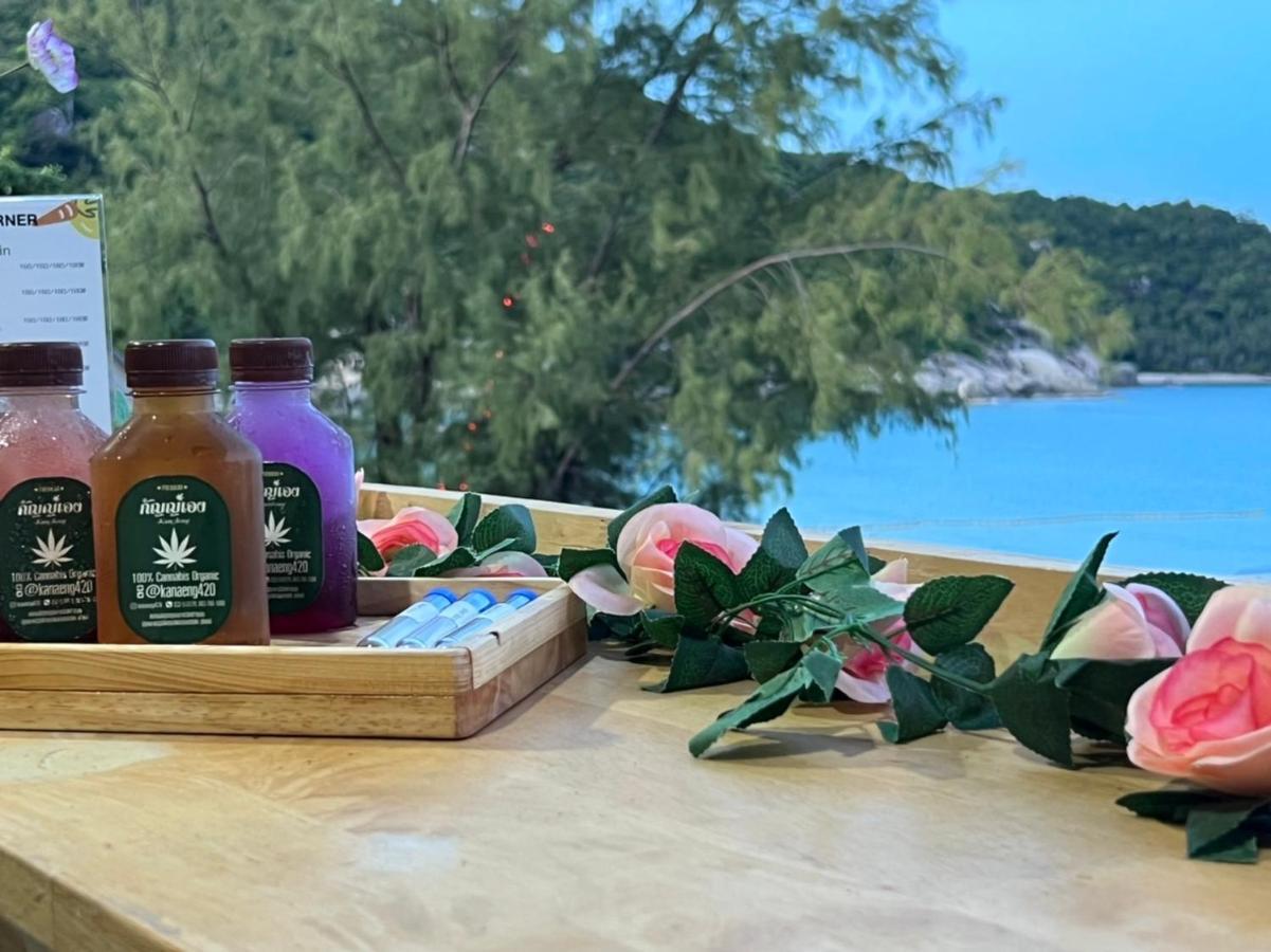 Cannabitel 哈林海滩 外观 照片