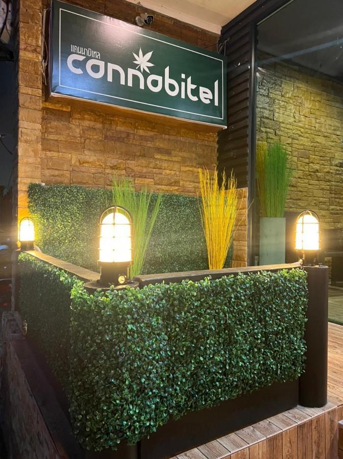 Cannabitel 哈林海滩 外观 照片